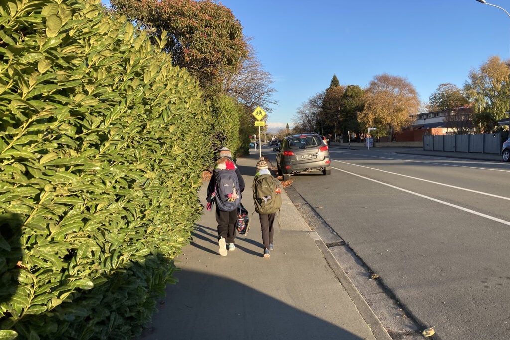 NBArchitecture-Fences+Hedges-2