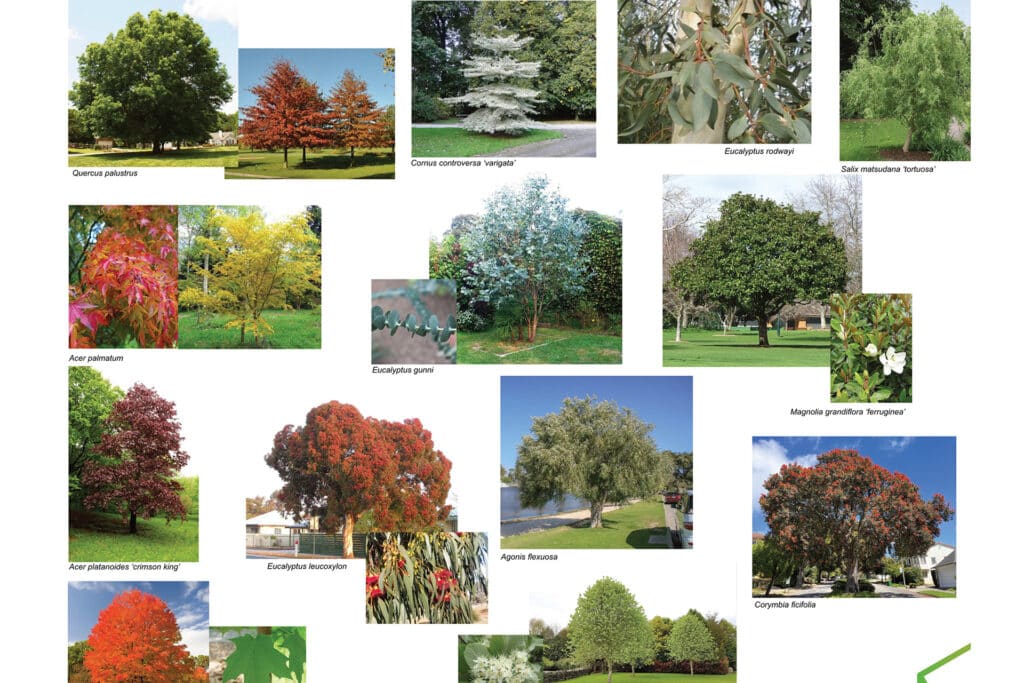 NBArchitecture-PlantingPlans-14
