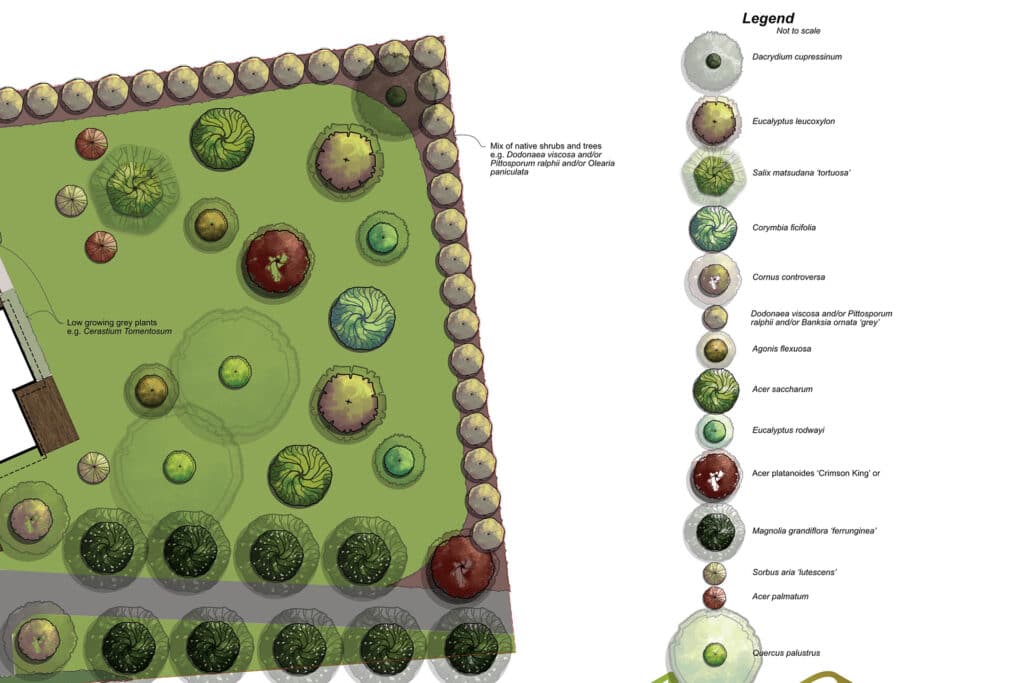 NBArchitecture-PlantingPlans-15