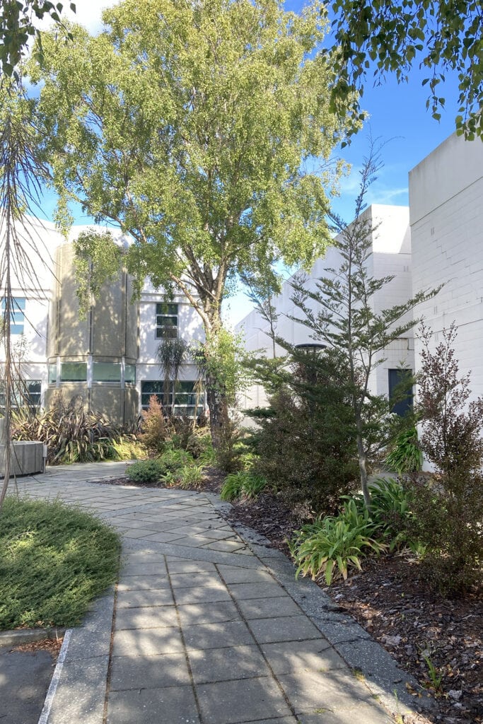 NBArchitecture-PlantingPlans-6