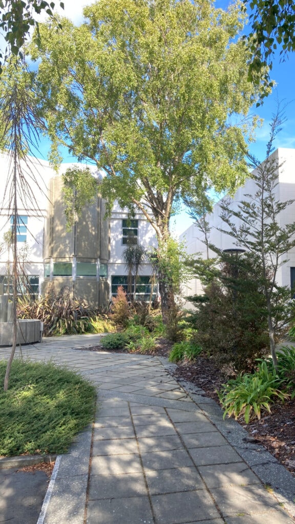 NBArchitects-CarparkGardens-05