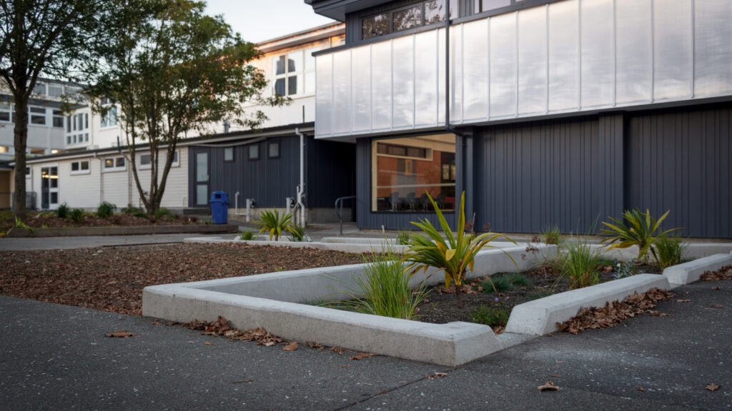 raingarden