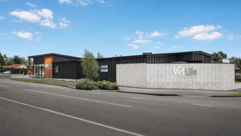 Vetlife Grasmere St cnr Timaru 02