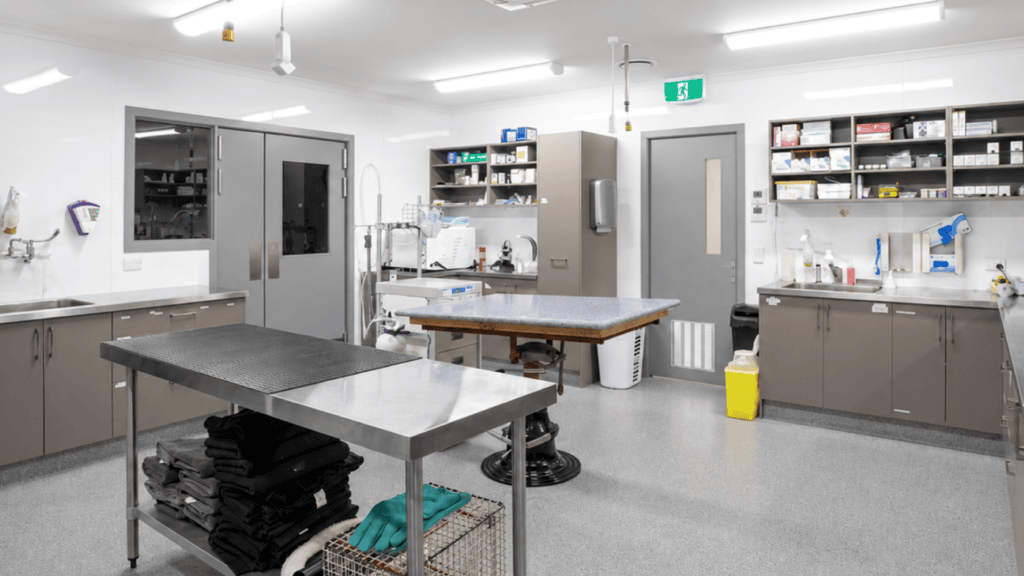 Vetlife clinic timaru appointment room 1920